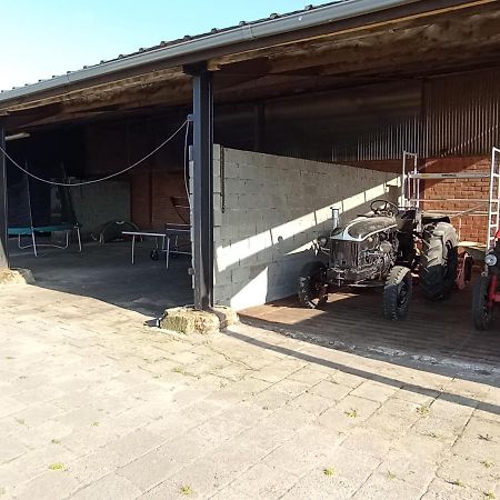 Natuur-Like Glamping In Bosland NeerNeerpelt Exterior photo