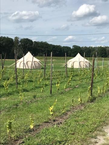 Natuur-Like Glamping In Bosland NeerNeerpelt Exterior photo