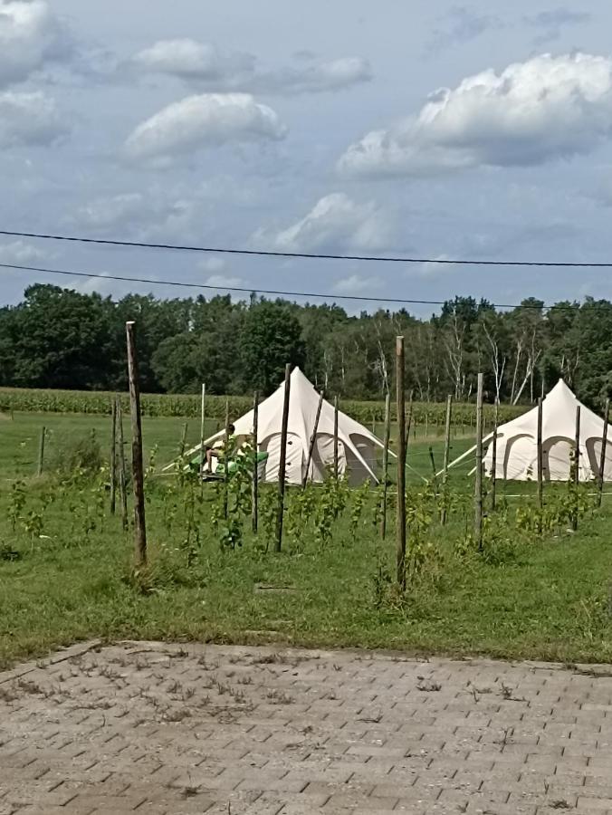 Natuur-Like Glamping In Bosland NeerNeerpelt Exterior photo
