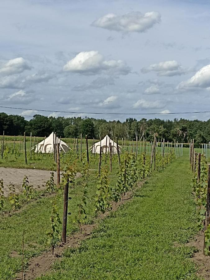 Natuur-Like Glamping In Bosland NeerNeerpelt Exterior photo