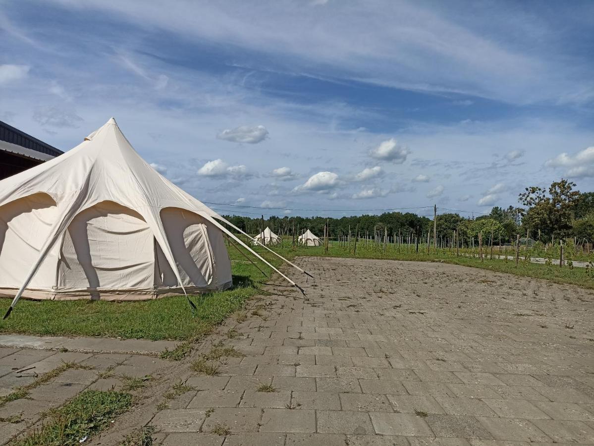 Natuur-Like Glamping In Bosland NeerNeerpelt Exterior photo