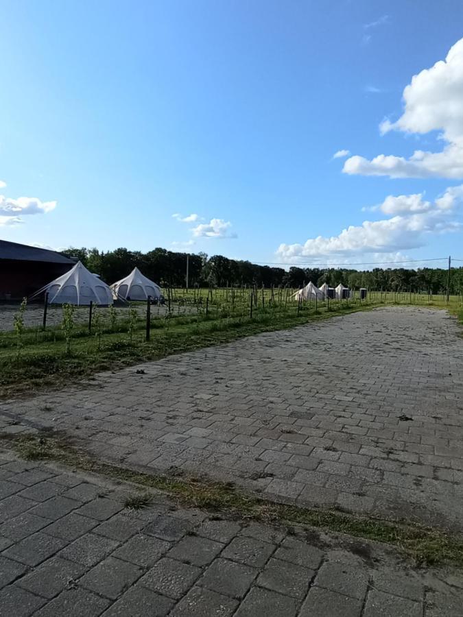 Natuur-Like Glamping In Bosland NeerNeerpelt Exterior photo